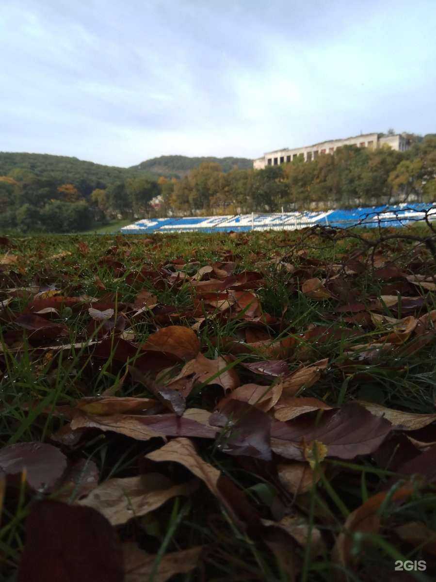 Отзывы на компанию Спортивная школа Водник Находкинского городского округа в Находке c фото