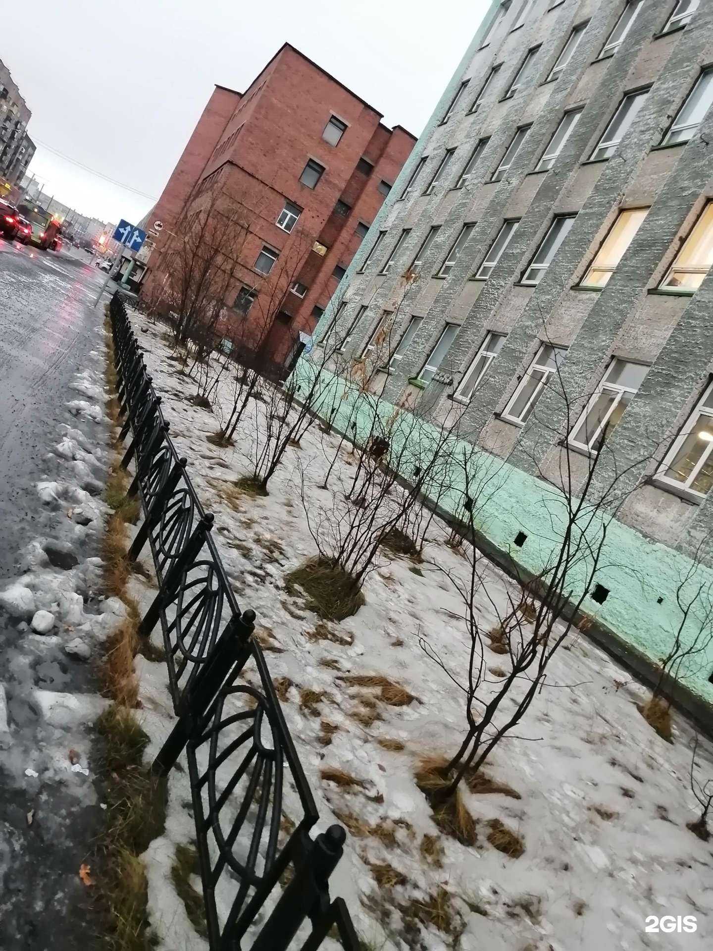 Отзывы на компанию Корпоративный университет Норильский никель в Норильске c фото - фотография 2 из 2