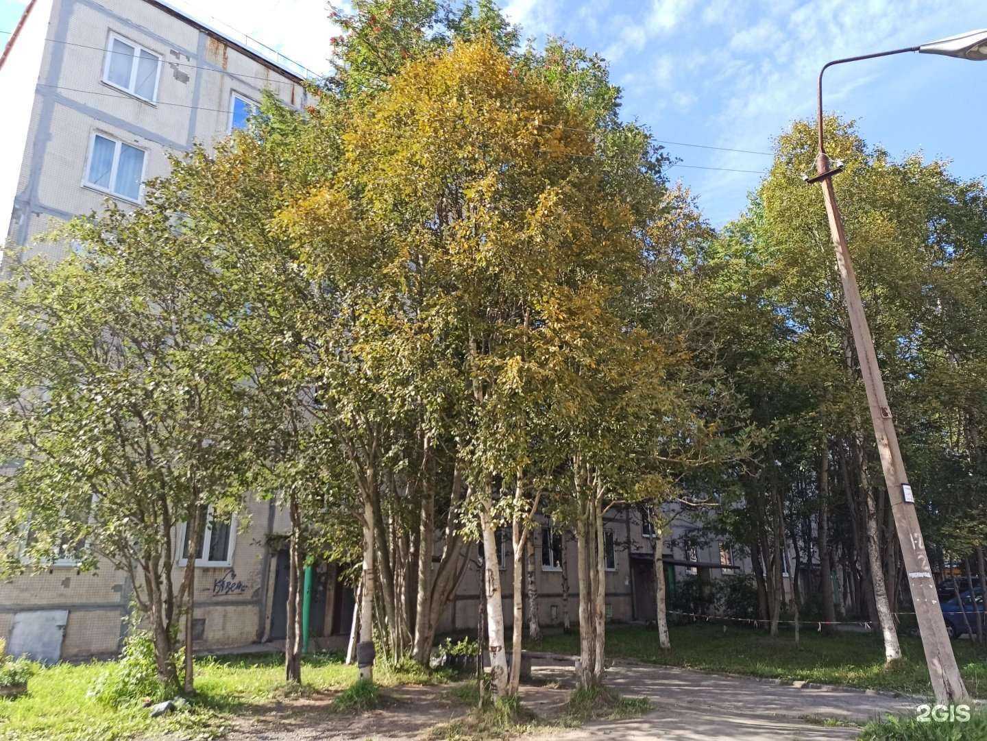 Отзывы на компанию Салон оптики в Апатитах c фото - фотография 2 из 2