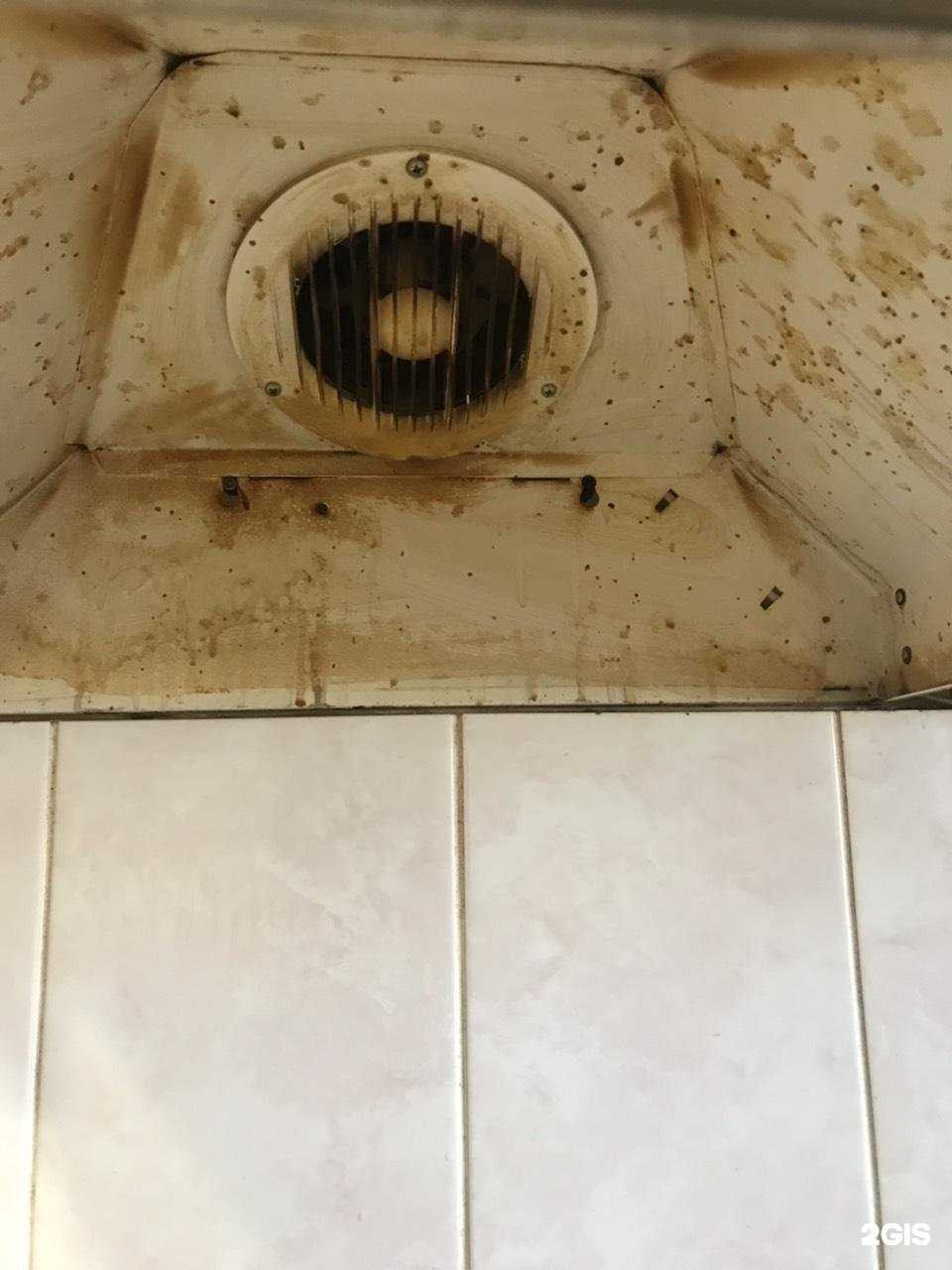 Отзывы на компанию Просепт в Улан-Удэ c фото