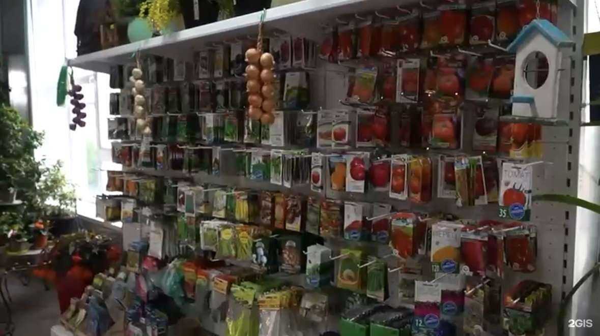 Отзывы на компанию Садово-парковый центр в Черкесске c фото