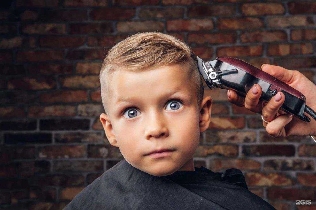 Отзывы на компанию Mr.Boroda в г. Пушкино c фото