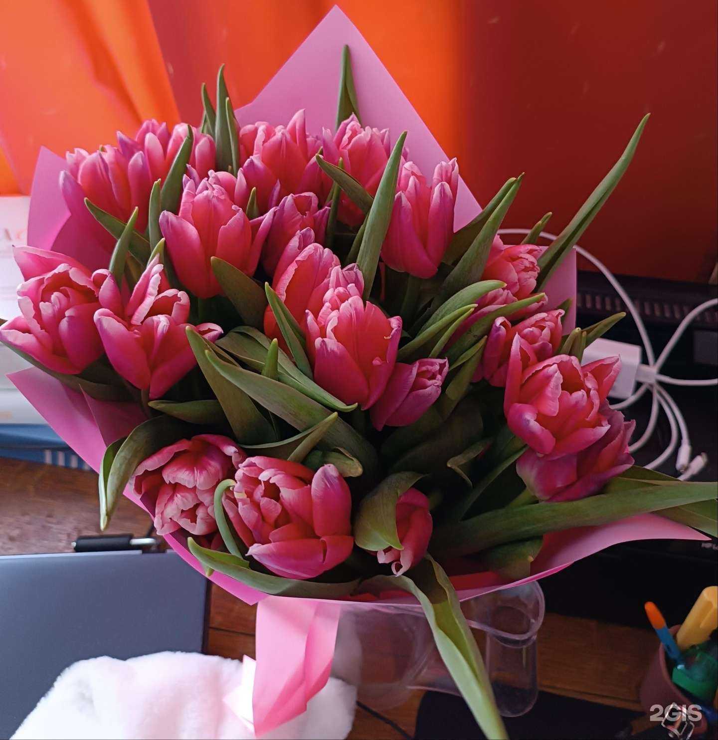 Отзывы на компанию Фиалка в Чебоксарах c фото