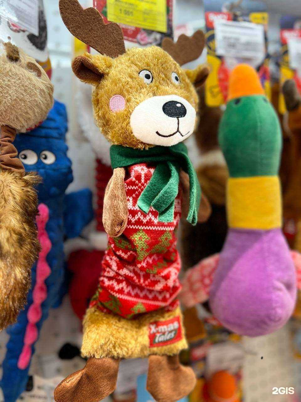 Отзывы на компанию Город ZOO в г. Томск c фото