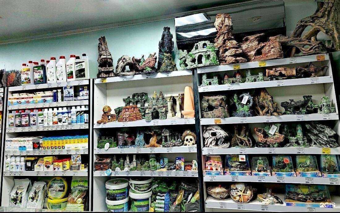 Отзывы на компанию Мир Аквариума в Тюмени c фото