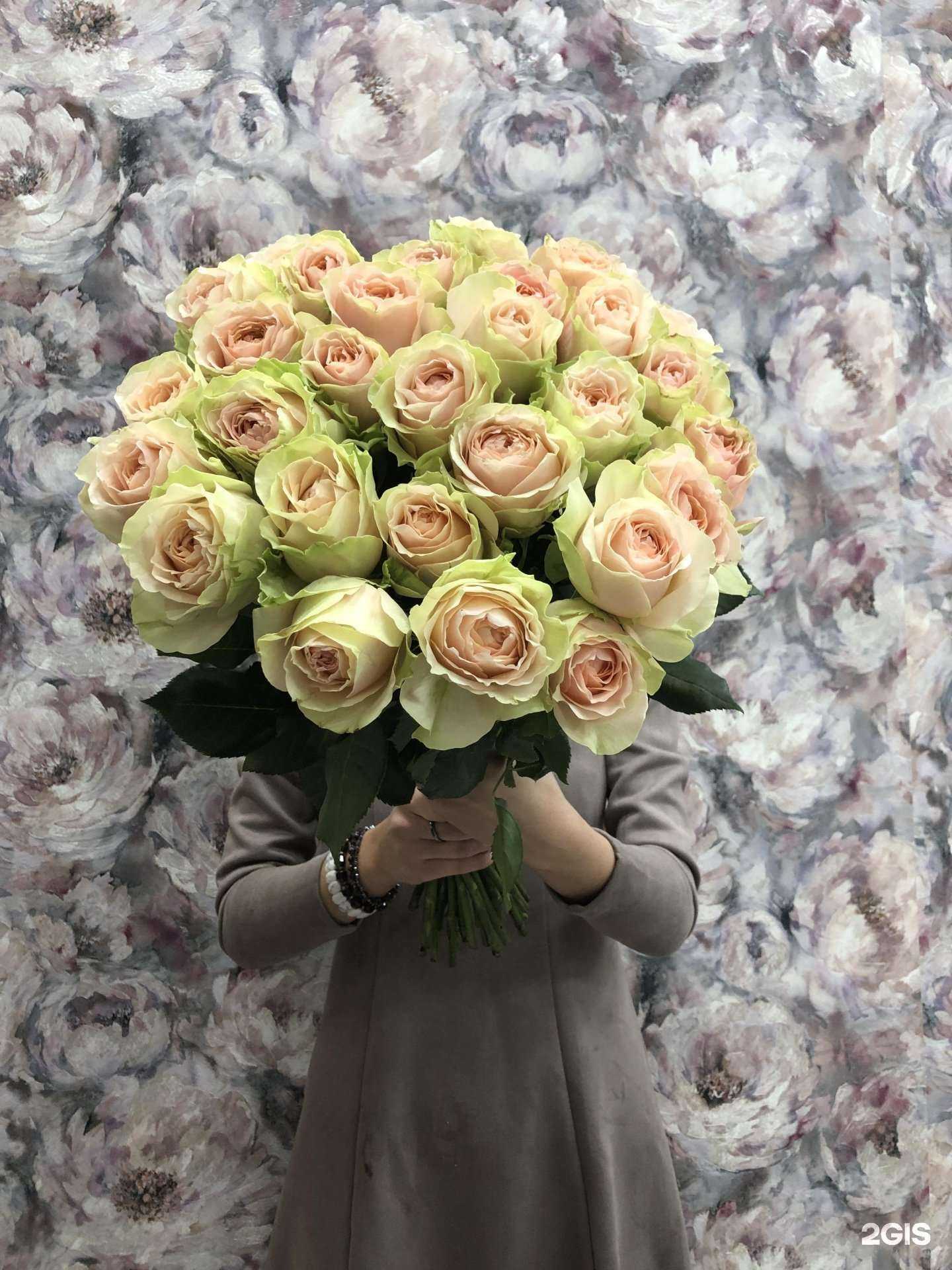 Отзывы на компанию Rosa bianca в Видном c фото