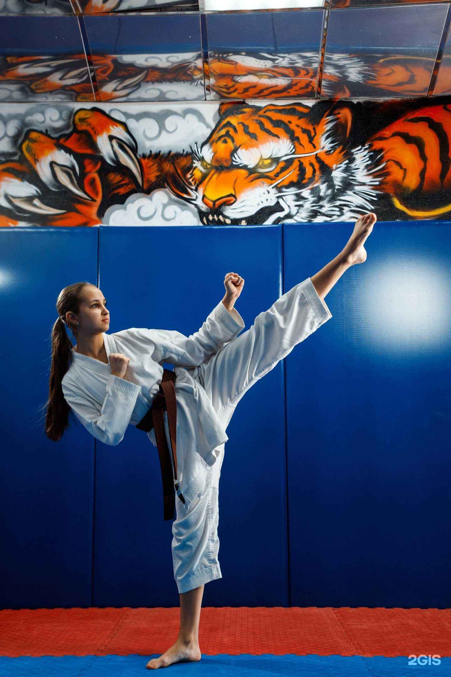 Отзывы на компанию Саппоро в г. Новокузнецк c фото