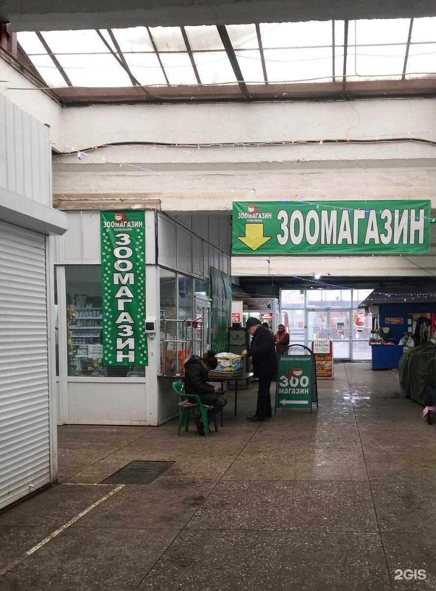 Отзывы на компанию Кошки_Мышки в Ставрополе c фото