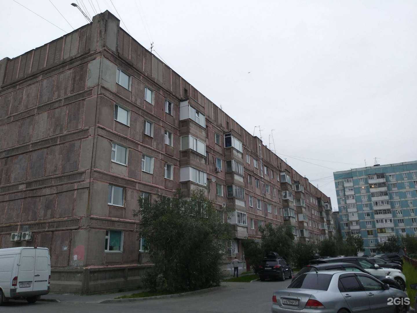 Отзывы на компанию Лисий дом в Новом Уренгое c фото - фотография 2 из 2