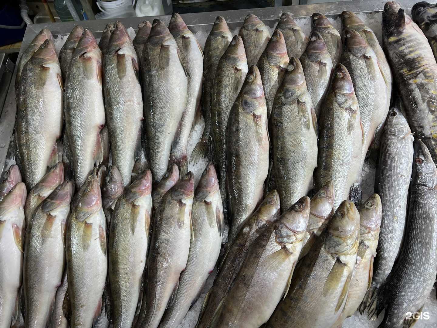 Отзывы на компанию Рыбный край в г. Пермь c фото