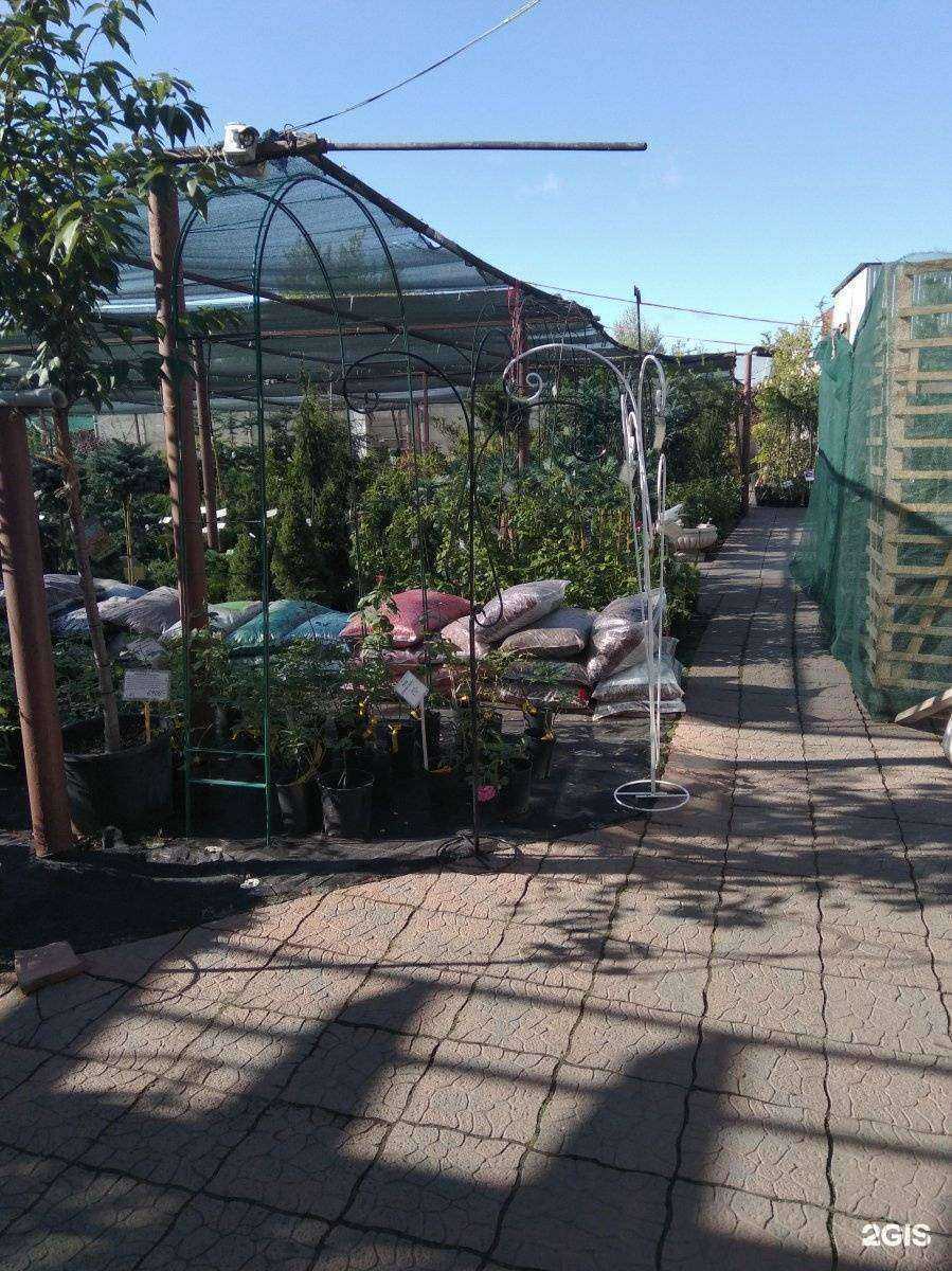 Отзывы на компанию Мой сад в Новосибирске c фото - фотография 2 из 2