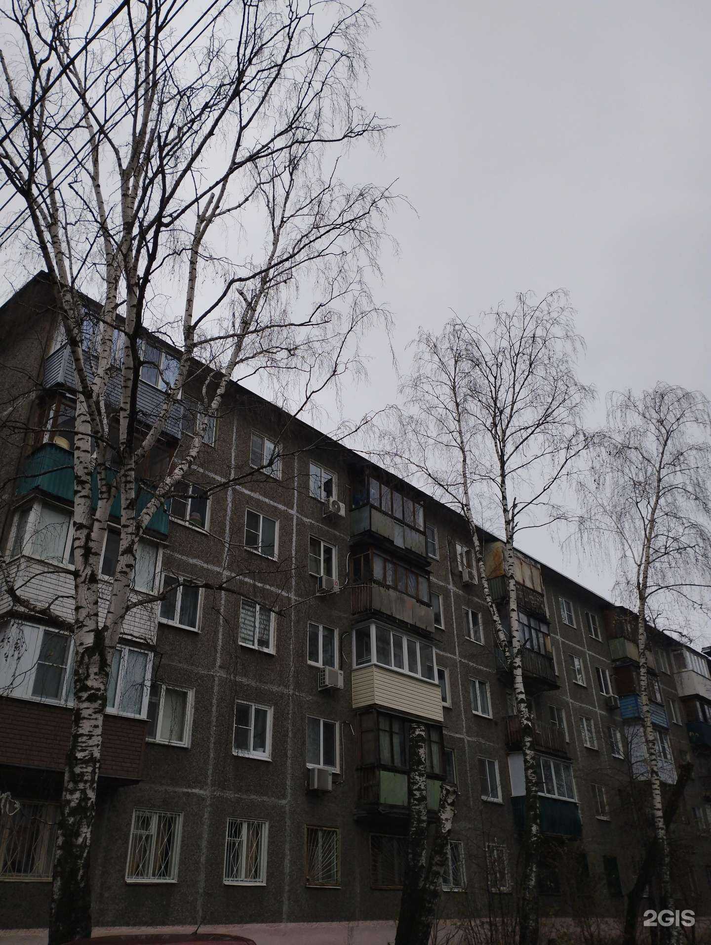 Отзывы на компанию Абвгдейка в Нижнем Новгороде c фото - фотография 2 из 2