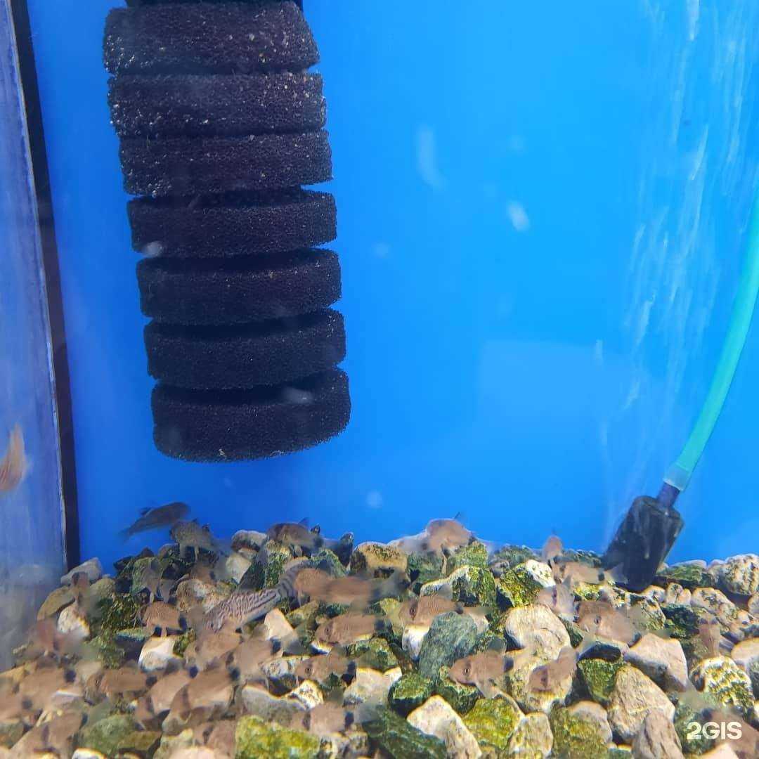 Отзывы на компанию РИФ в Ставрополе c фото