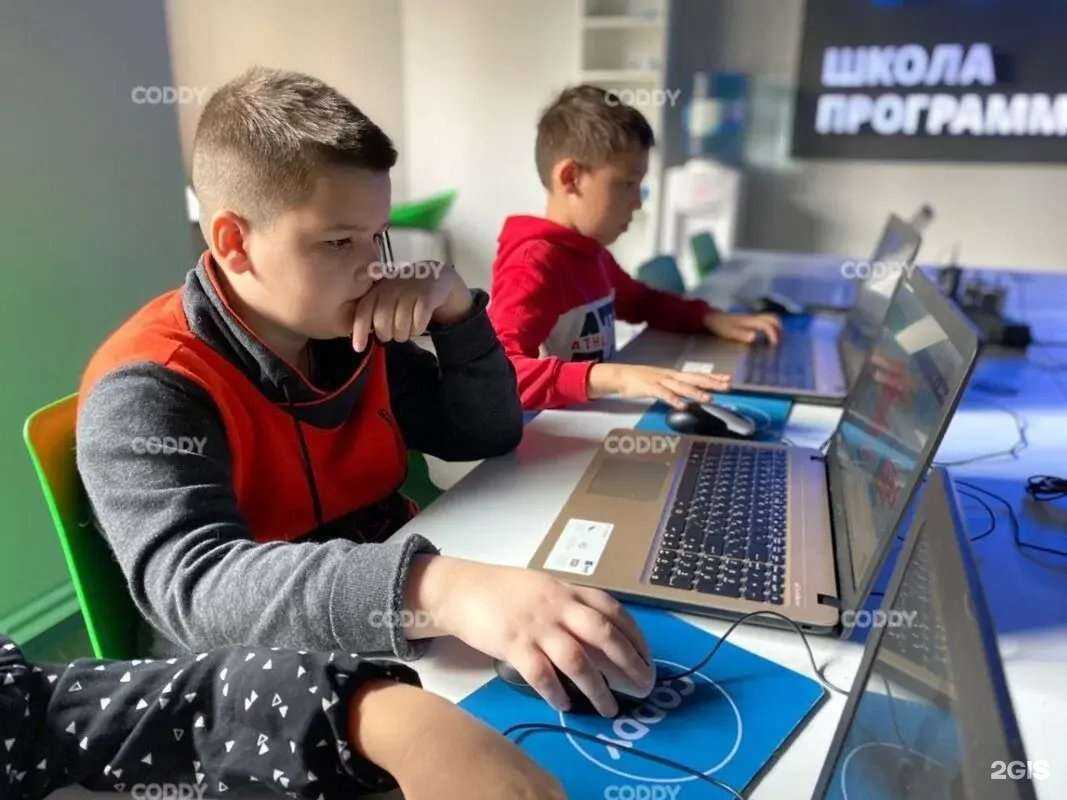 Отзывы на компанию Coddy в г. Пятигорск c фото