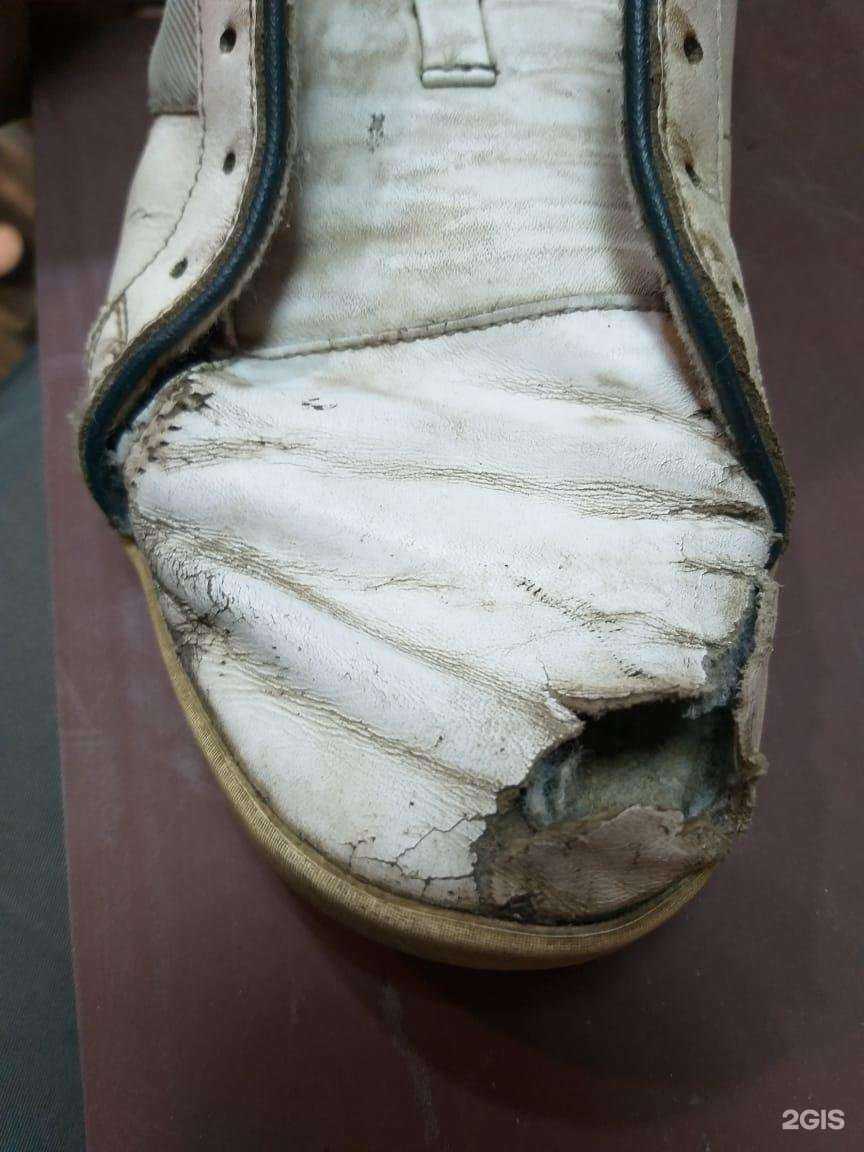 Отзывы на компанию Сапожок 138 в г. Ангарск c фото