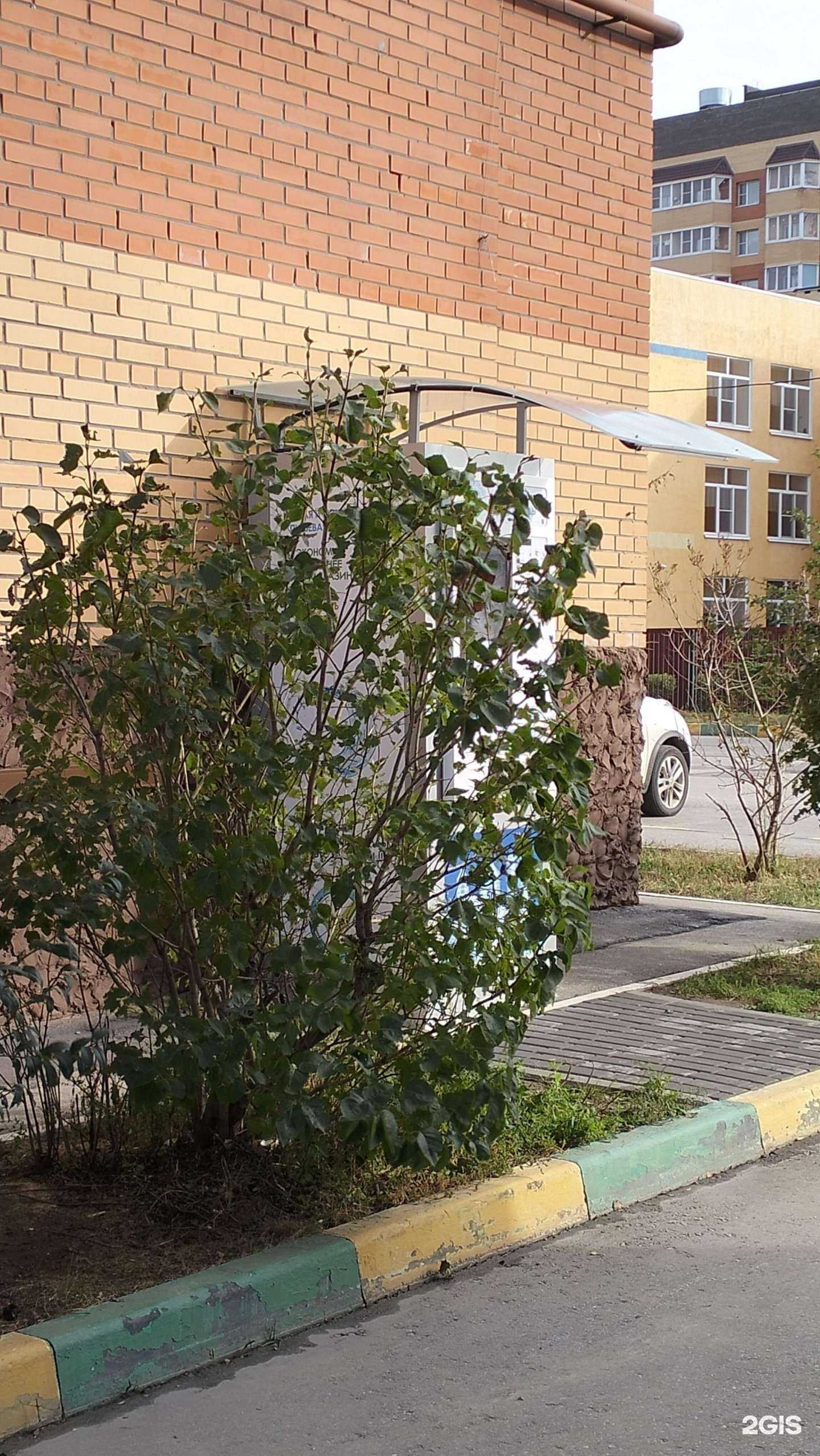 Отзывы на компанию Кристальная вода в г. Рязань c фото