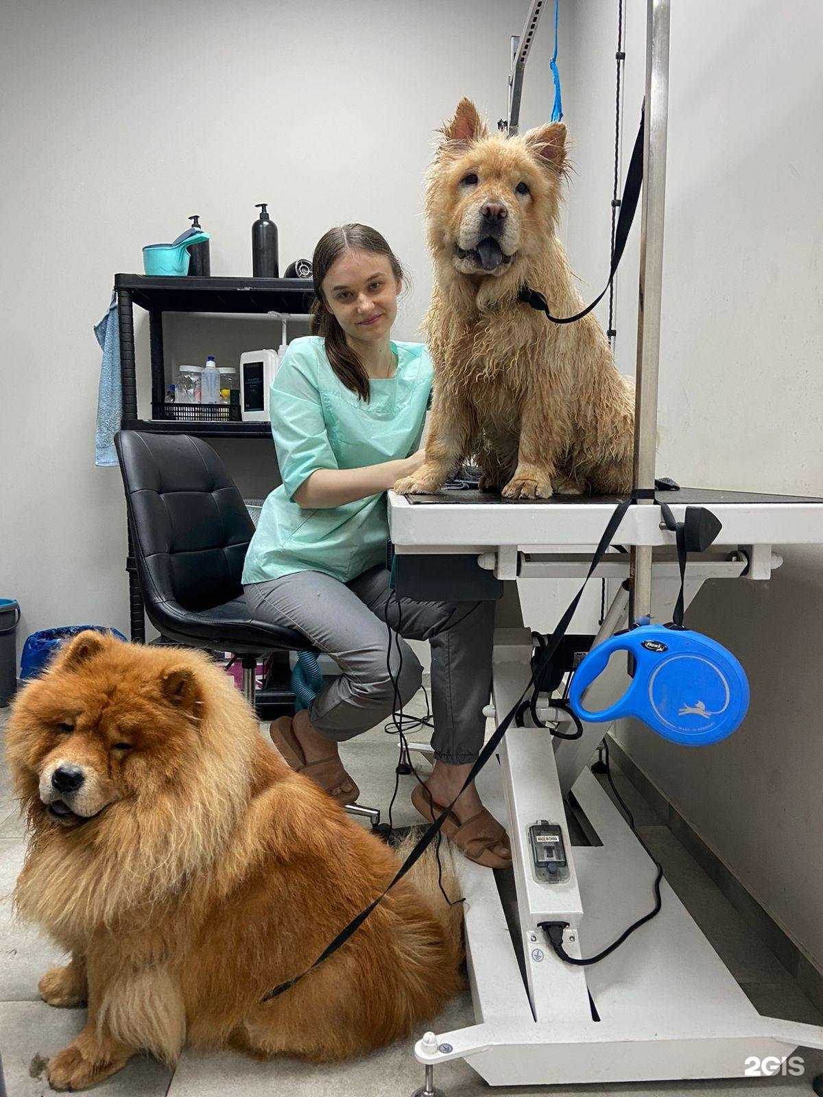 Отзывы на компанию My darling в Воронеже c фото