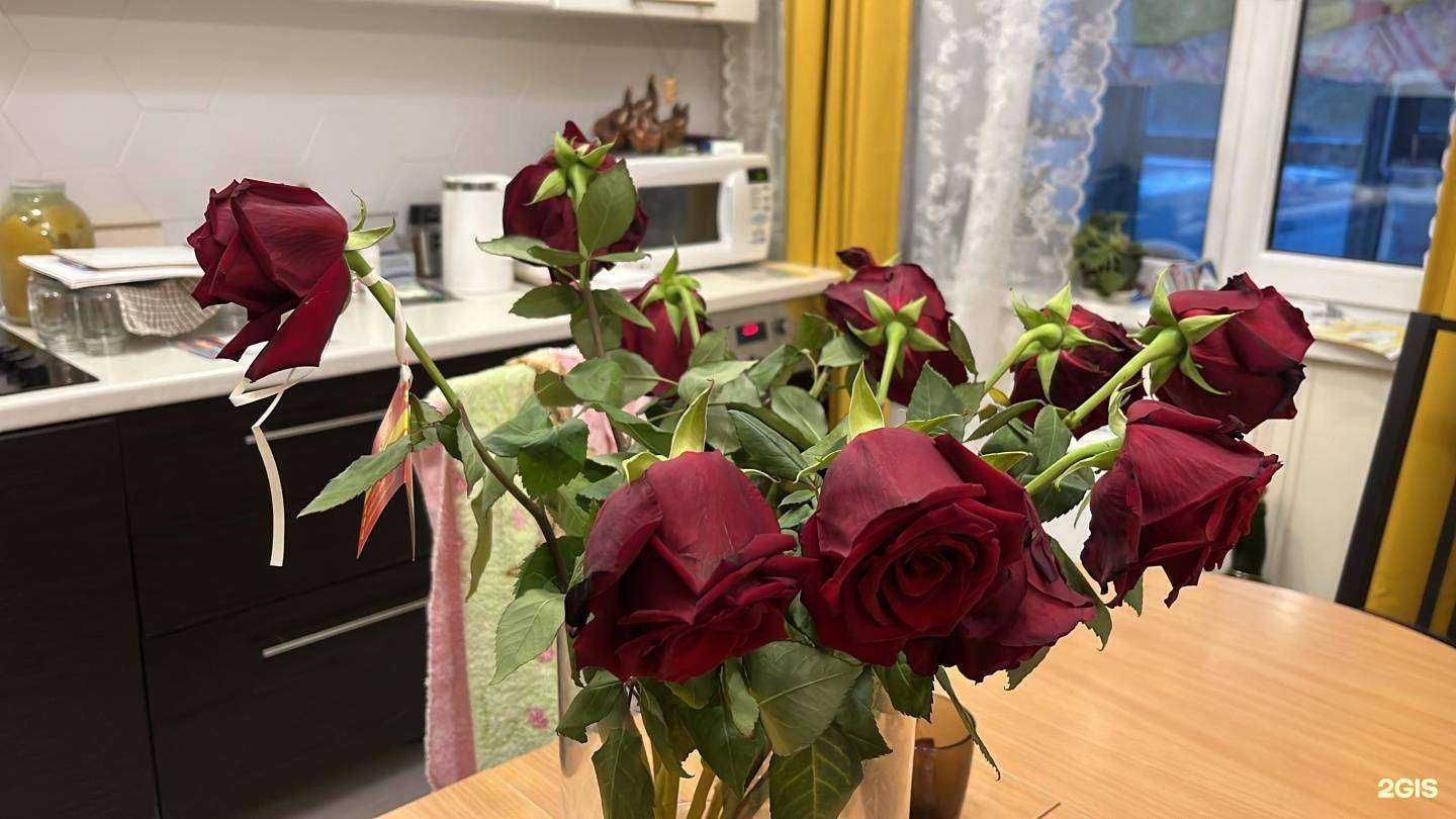 Отзывы на компанию Азалия в г. Томск c фото