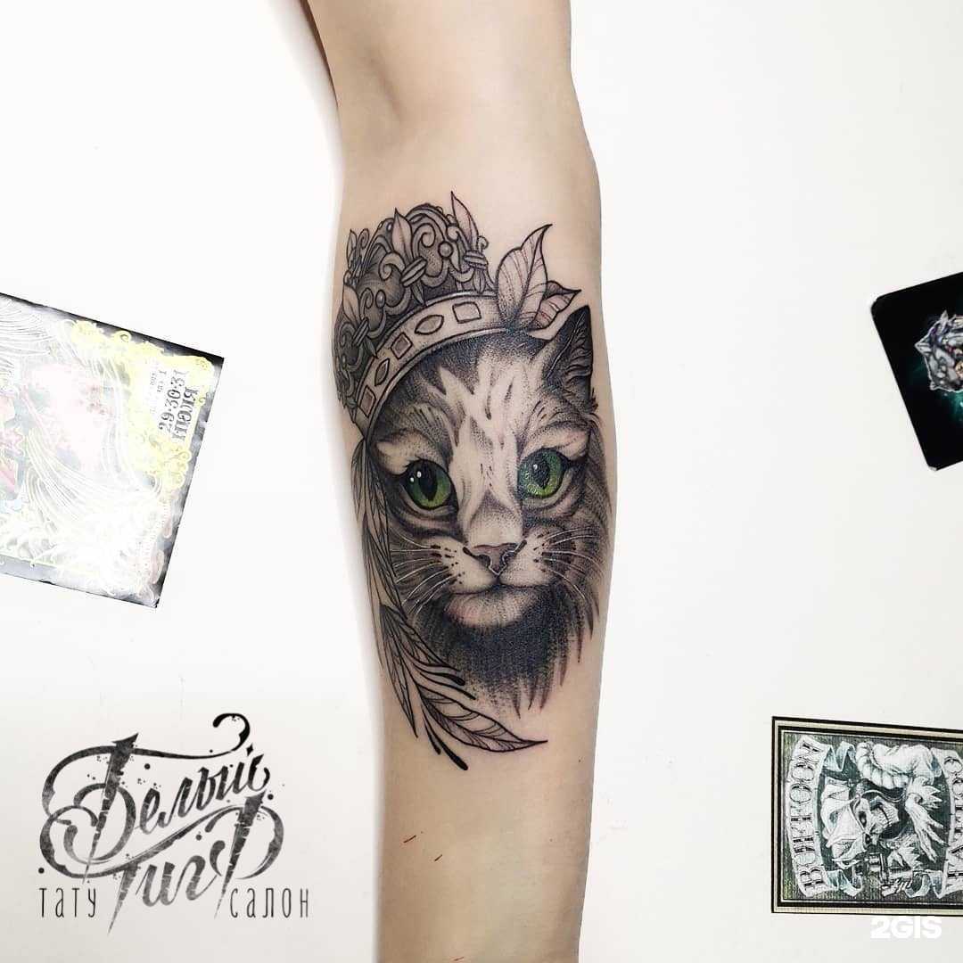 Отзывы на компанию Белый тигр в Стерлитамаке c фото