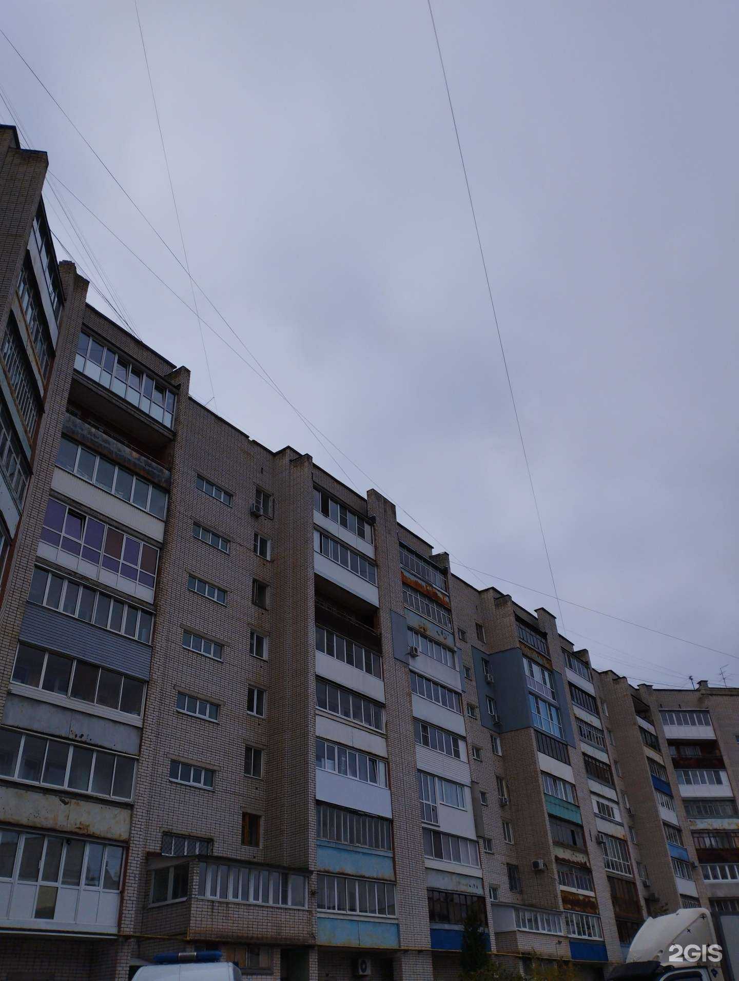 Отзывы на компанию Дискус&Рептилии в Дзержинске c фото - фотография 2 из 2