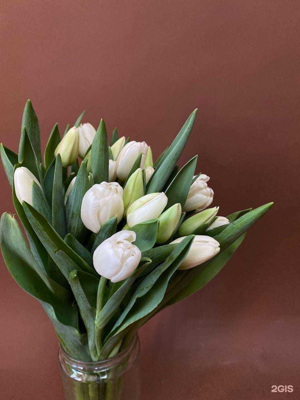 Отзывы на компанию Меркс в г. Калуга c фото