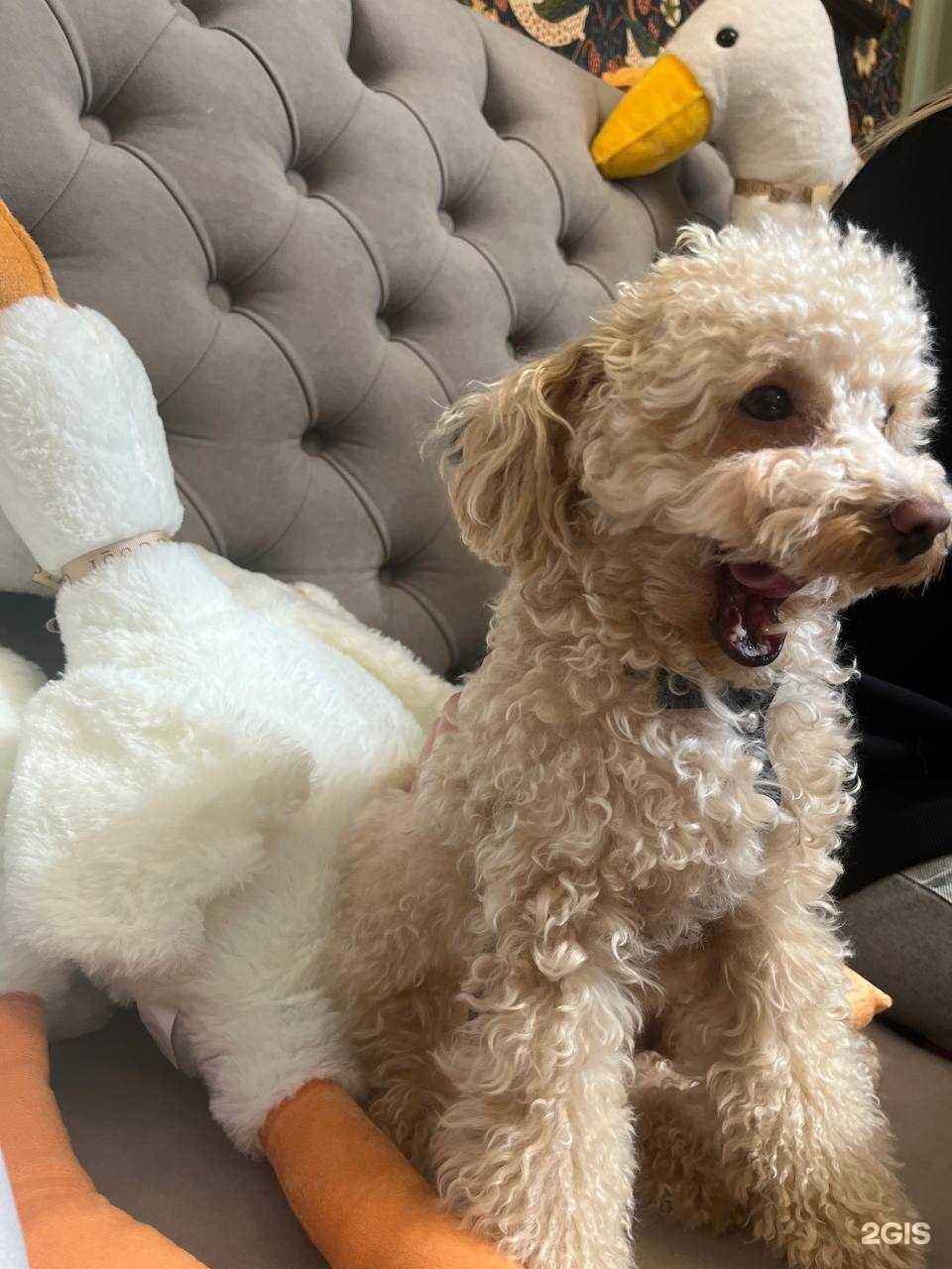 Отзывы на компанию Gussi Coffee в г. Екатеринбург c фото