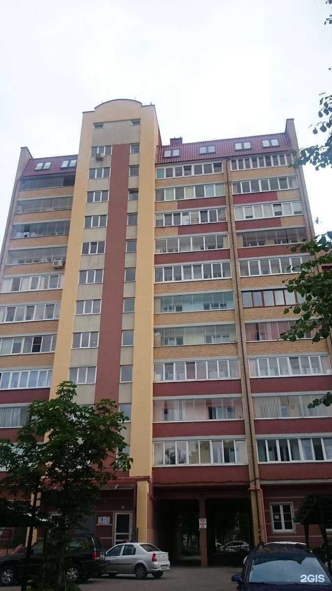 Отзывы на компанию Papalam.ru в Калининграде c фото