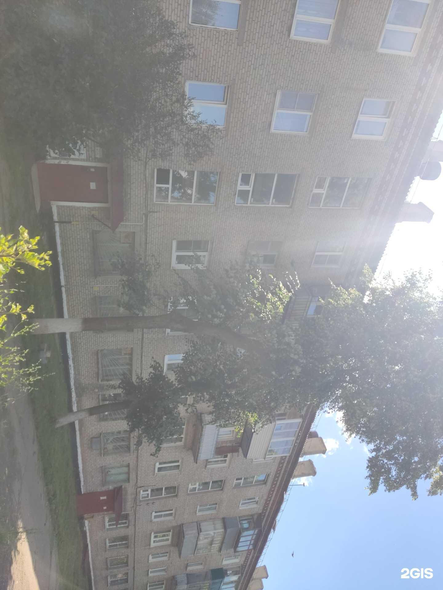 Отзывы на компанию Оранжевый верблюд в Кашире c фото - фотография 2 из 2