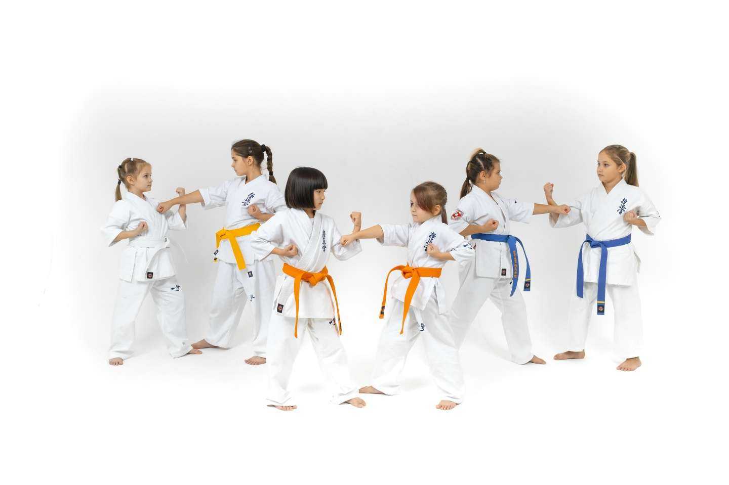 Отзывы на компанию Киокушинкай каратэ-до НГООКК в Нижневартовске c фото