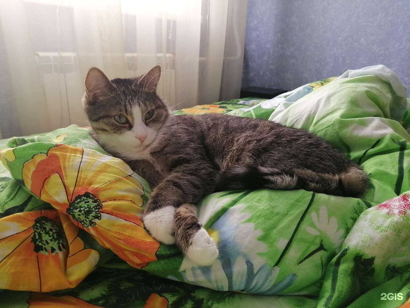 Отзывы на компанию Акуна матата в Красноярске c фото