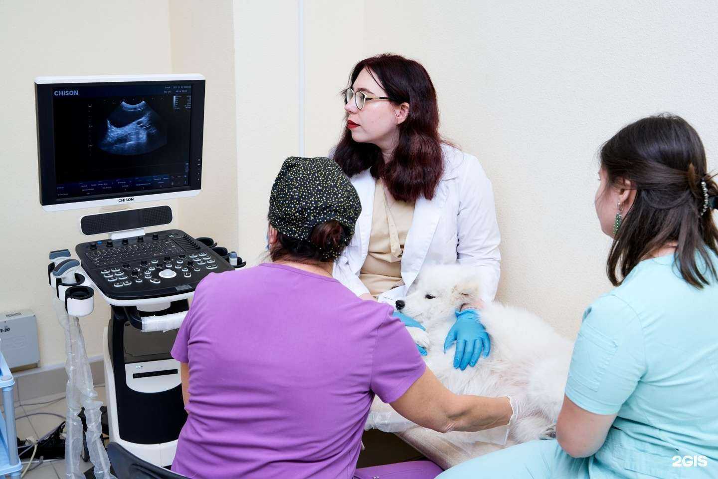 Отзывы на компанию АЙС в Новосибирске c фото