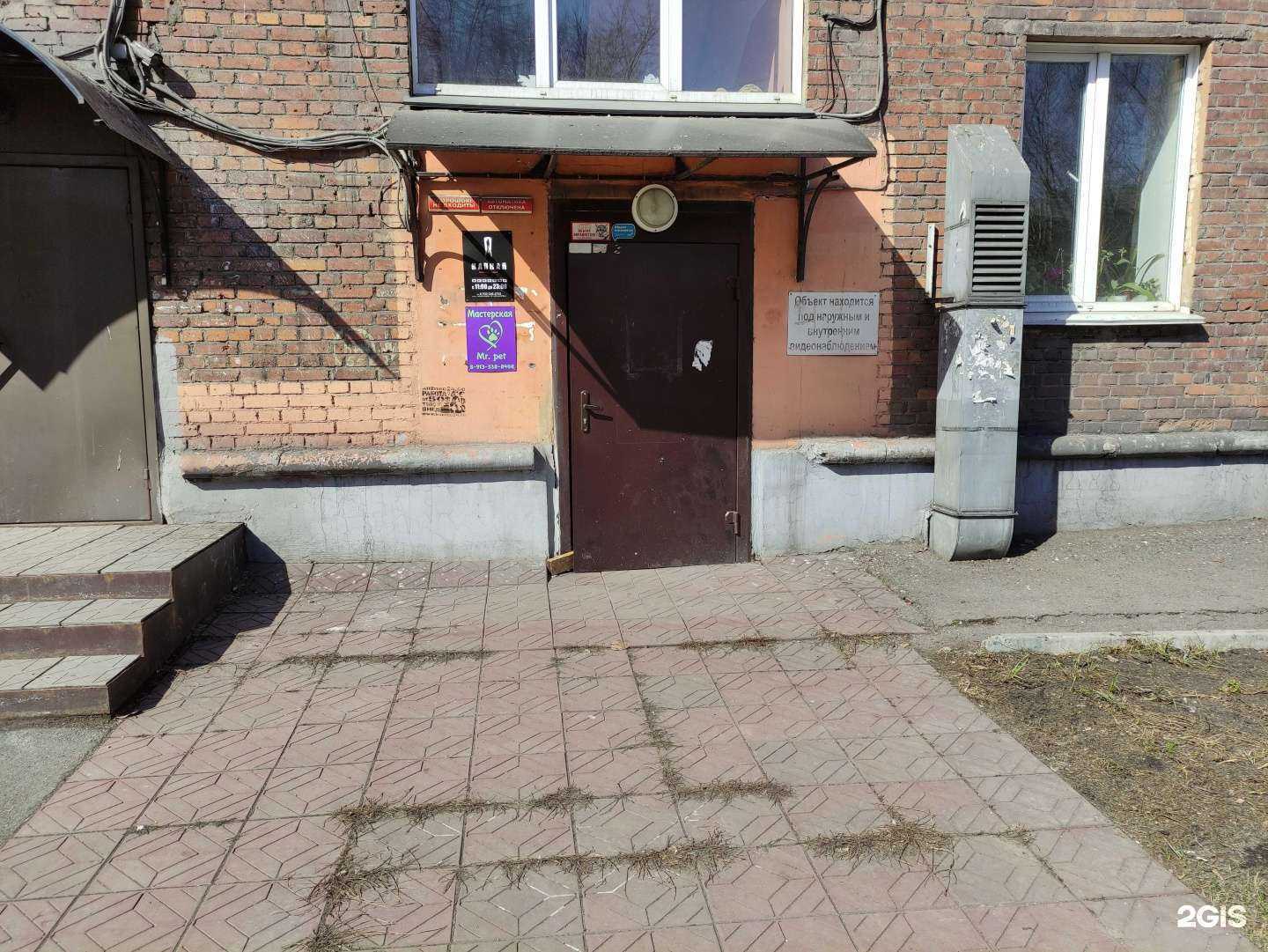 Отзывы на компанию Mr. Pet в Новокузнецке c фото