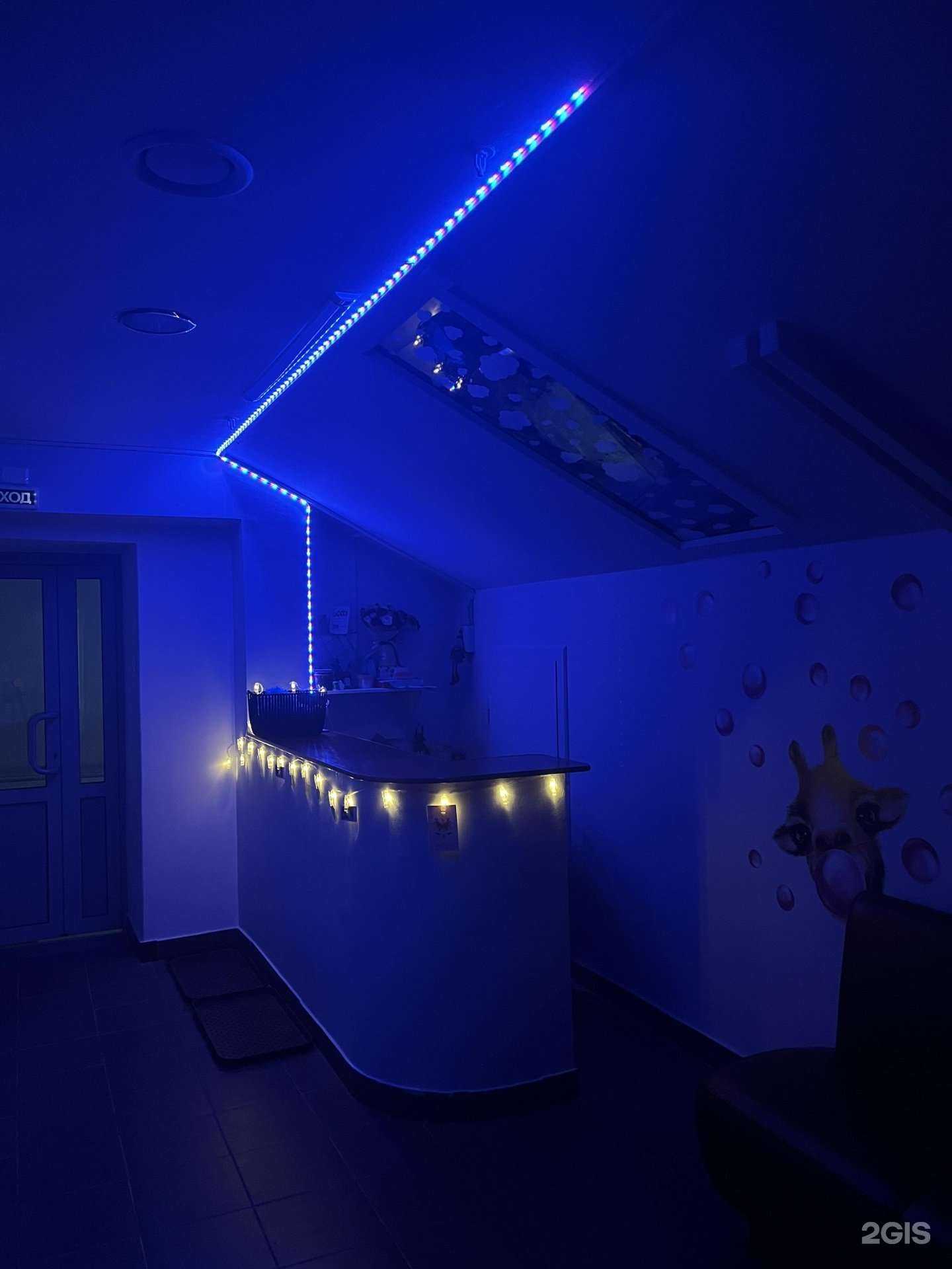 Отзывы на компанию Зефир в Архангельске c фото