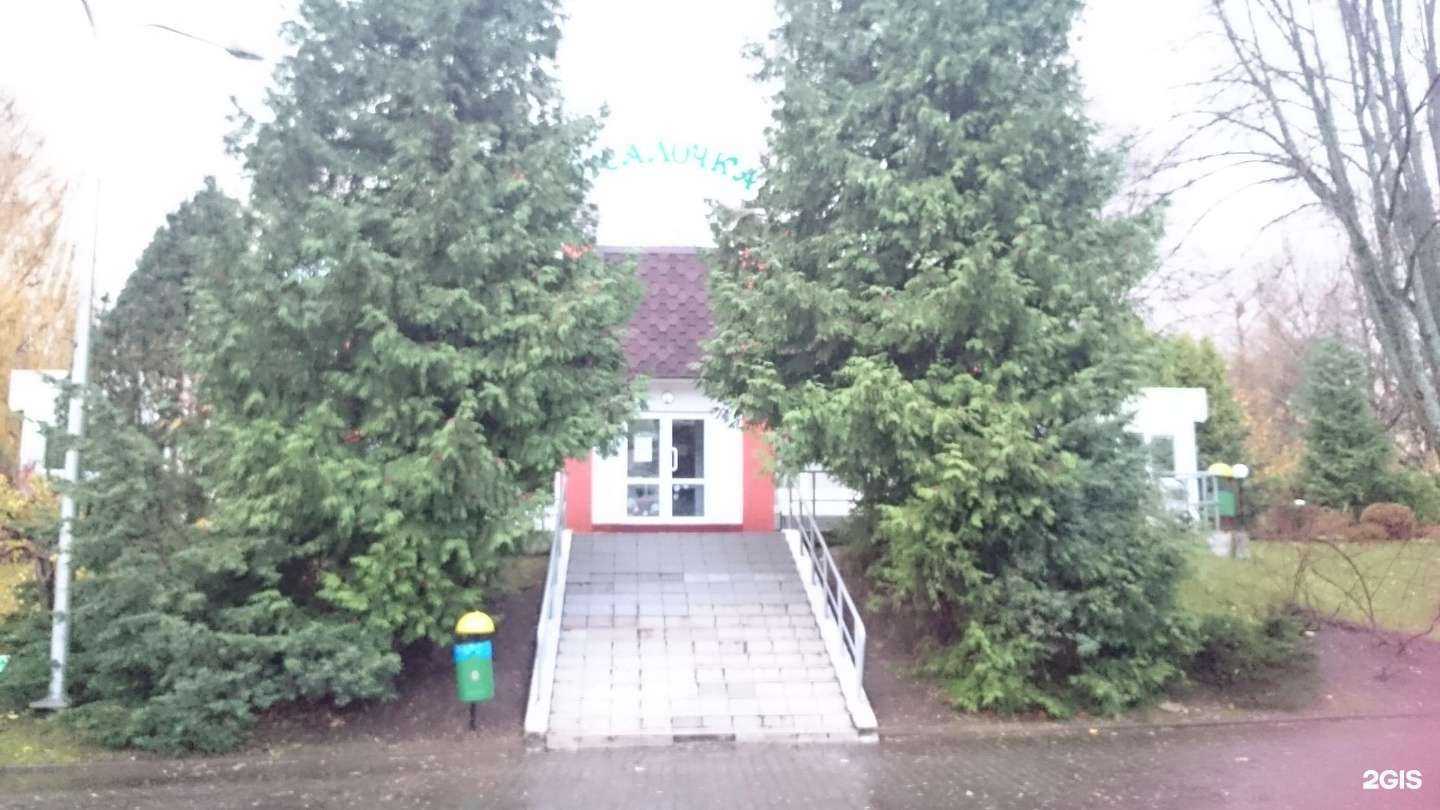 Отзывы на компанию Санаторий Янтарный берег в Светлогорске c фото - фотография 2 из 2