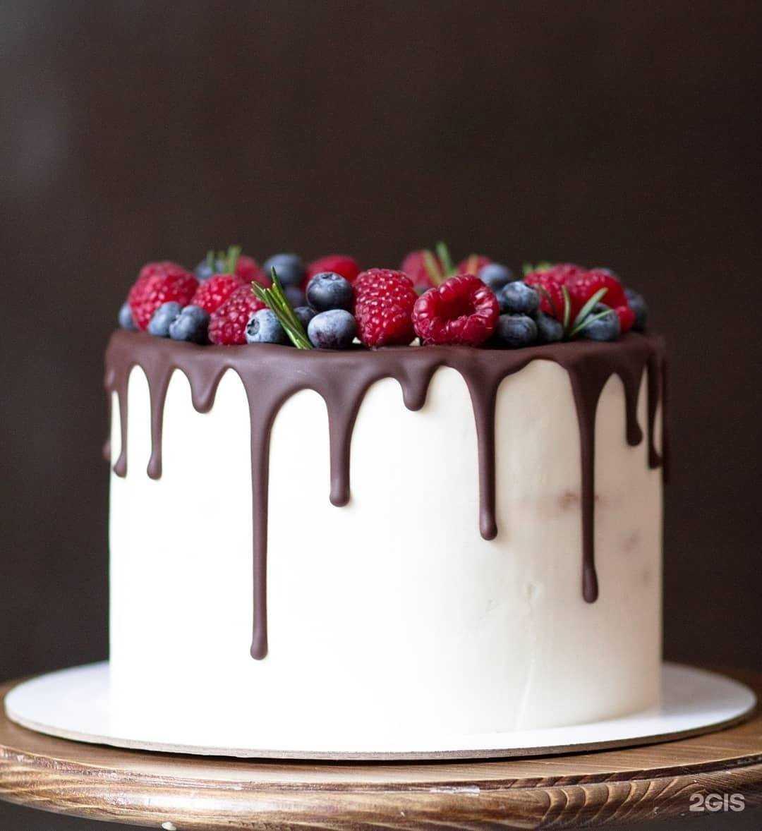 Отзывы на компанию Svekla в Ростове-на-Дону c фото