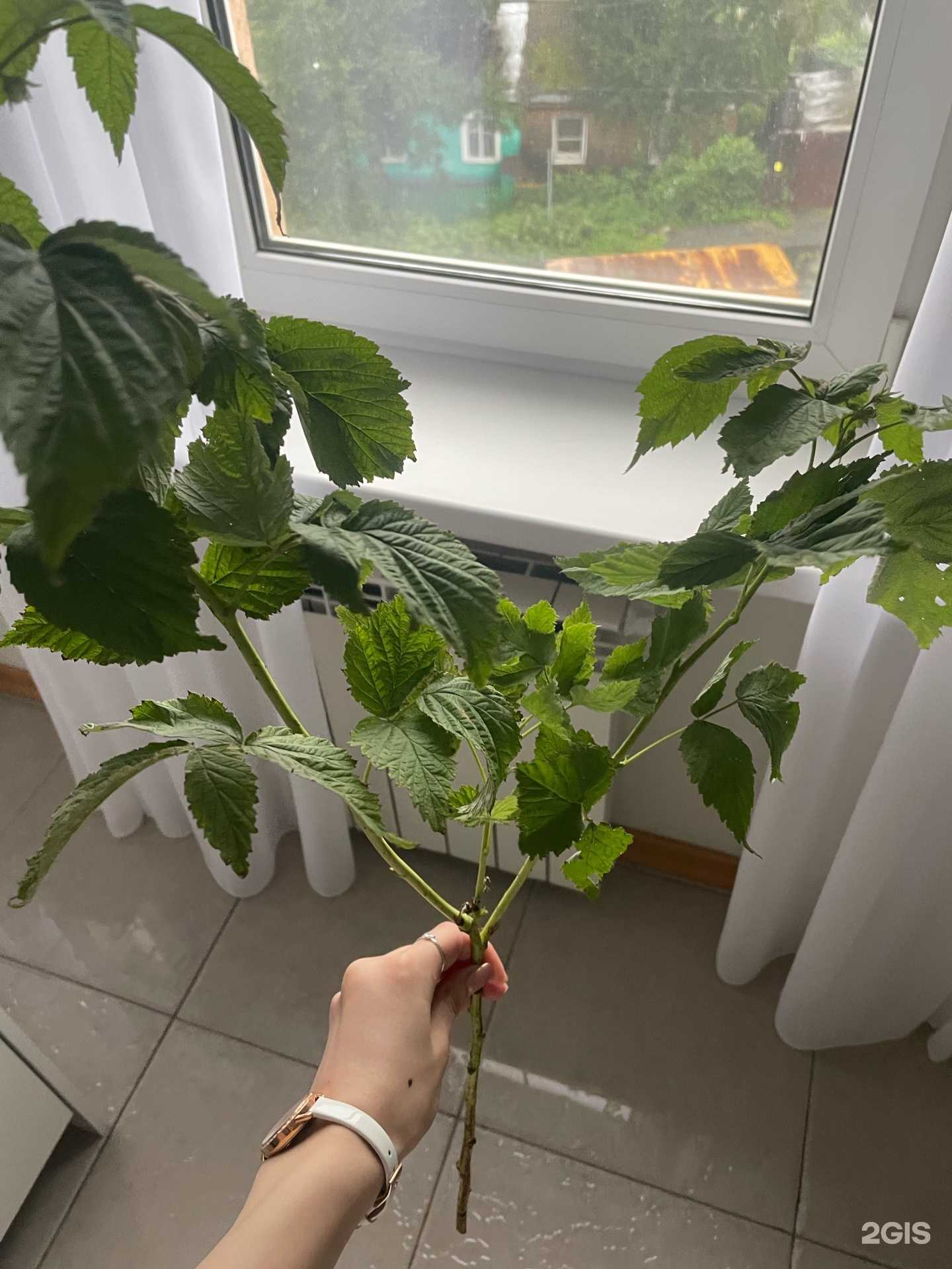 Отзывы на компанию Gift`N`Roses в Южно-Сахалинске c фото