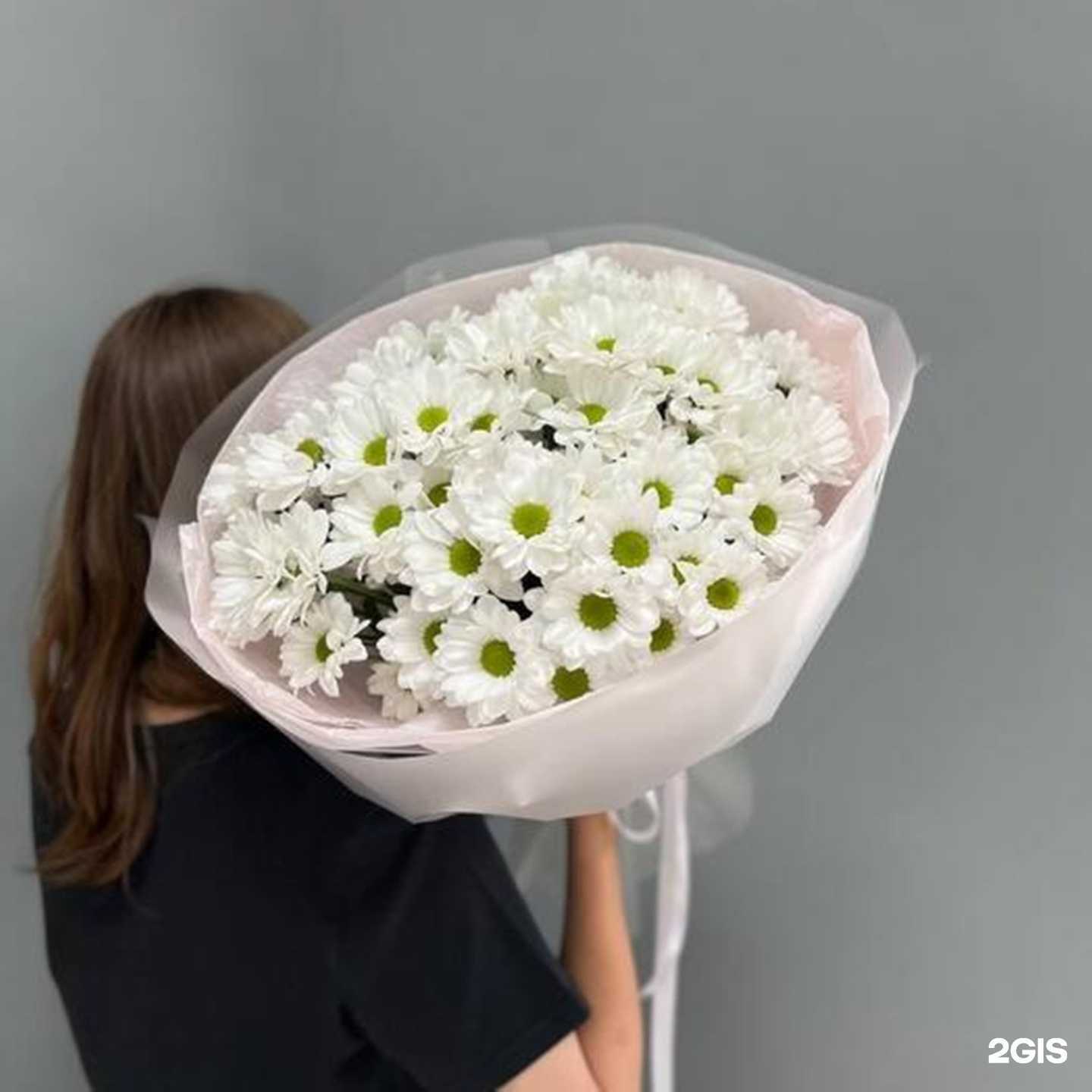 Отзывы на компанию Времена года в Ярославле c фото