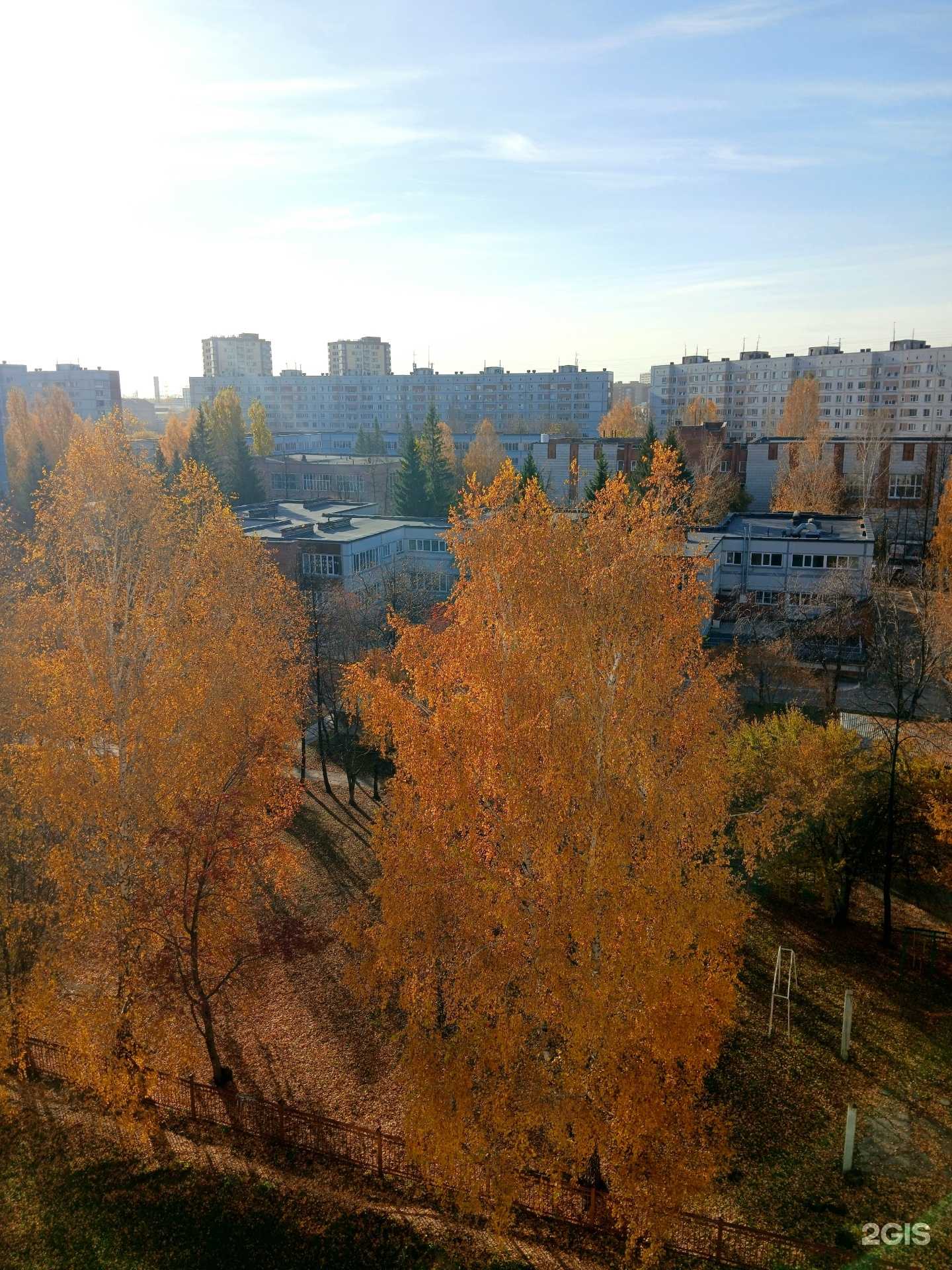 Отзывы на компанию Коррекционная школа №31 в Новосибирске c фото