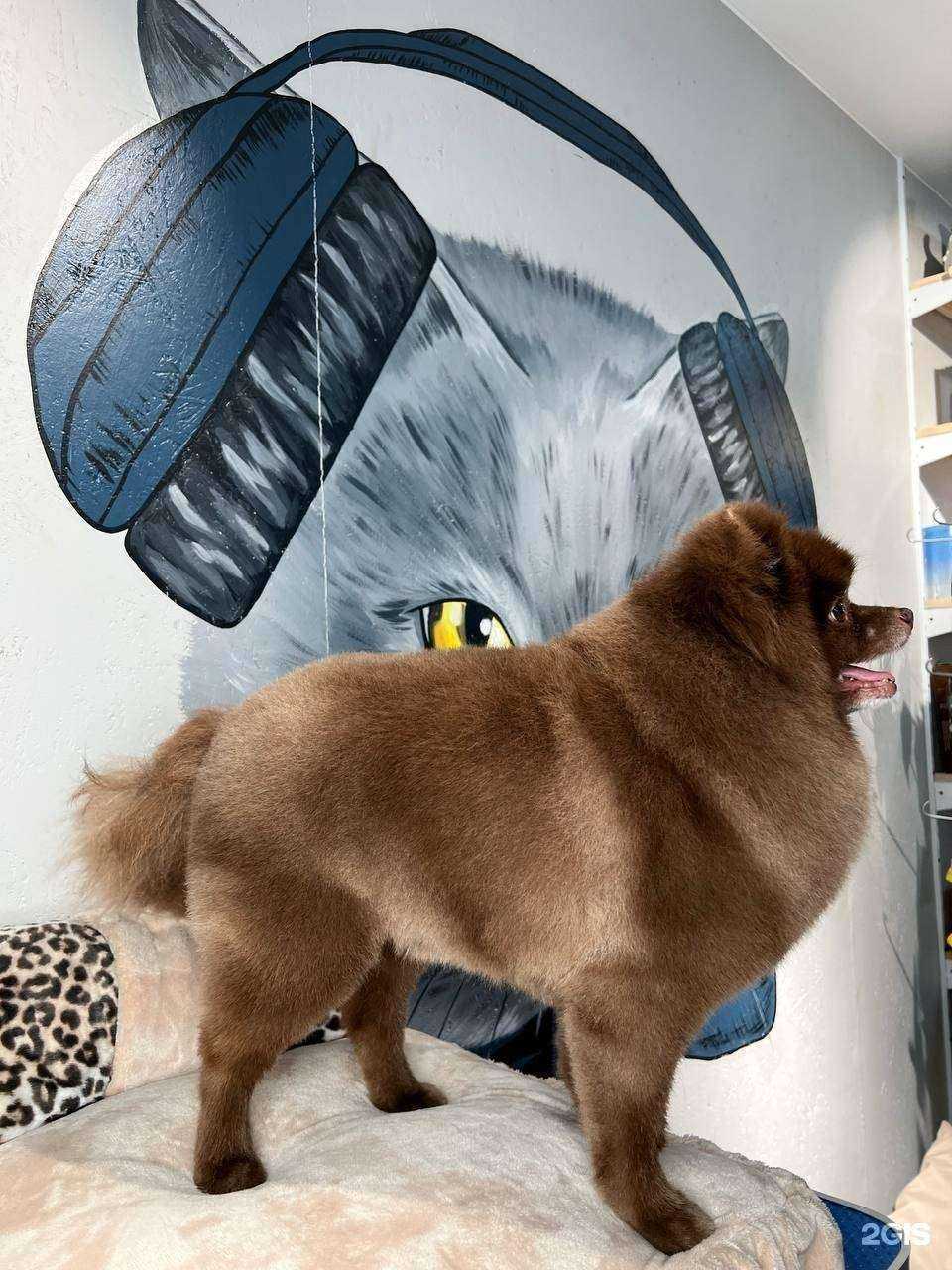 Отзывы на компанию Милорд в Иркутске c фото