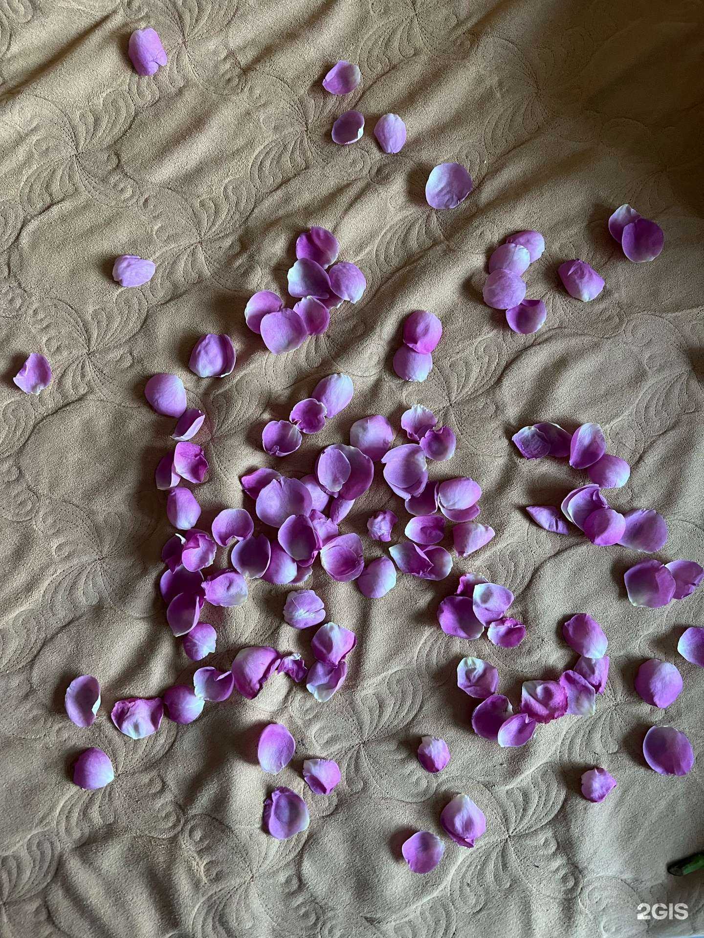 Отзывы на компанию Магазин цветов и воздушных шаров в Краснодаре c фото