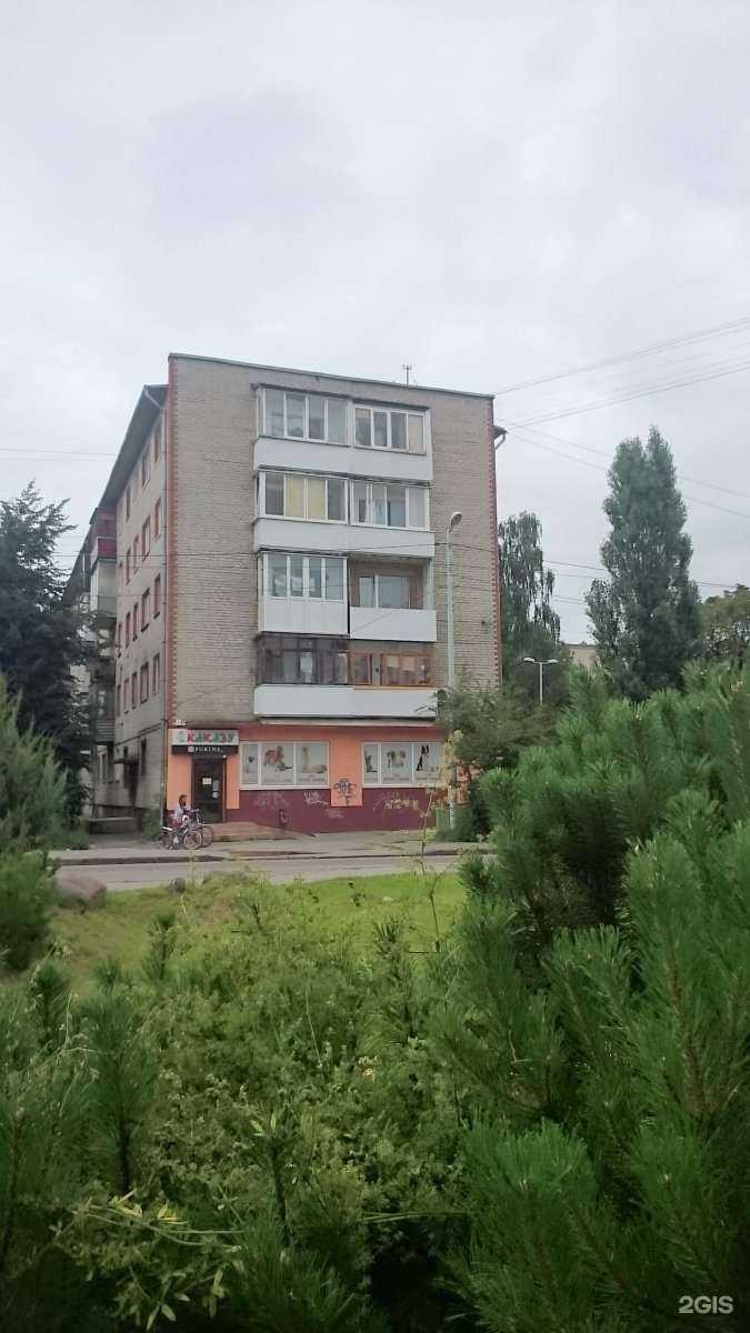 Отзывы на компанию Какаду в Калининграде c фото - фотография 2 из 2