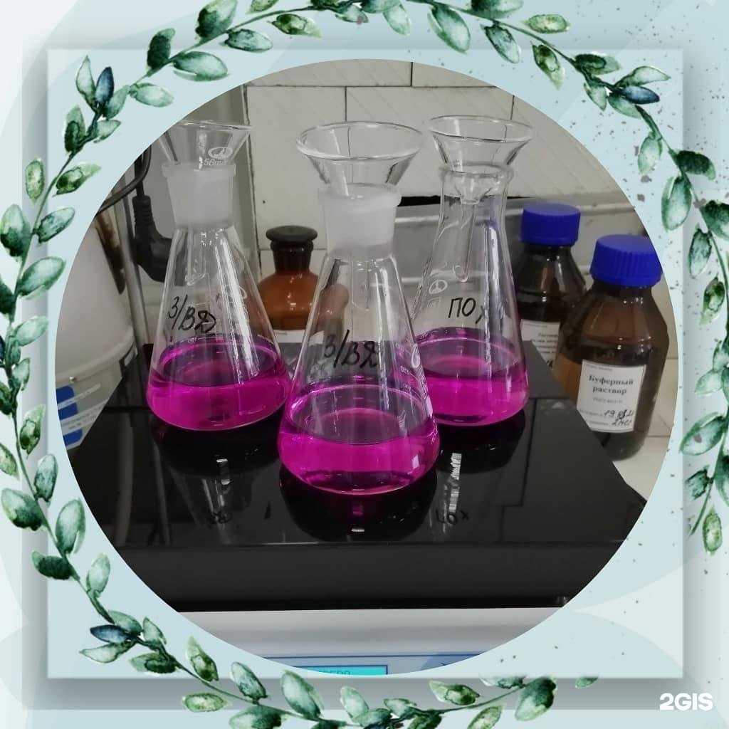 Отзывы на компанию Агава в Ярославле c фото