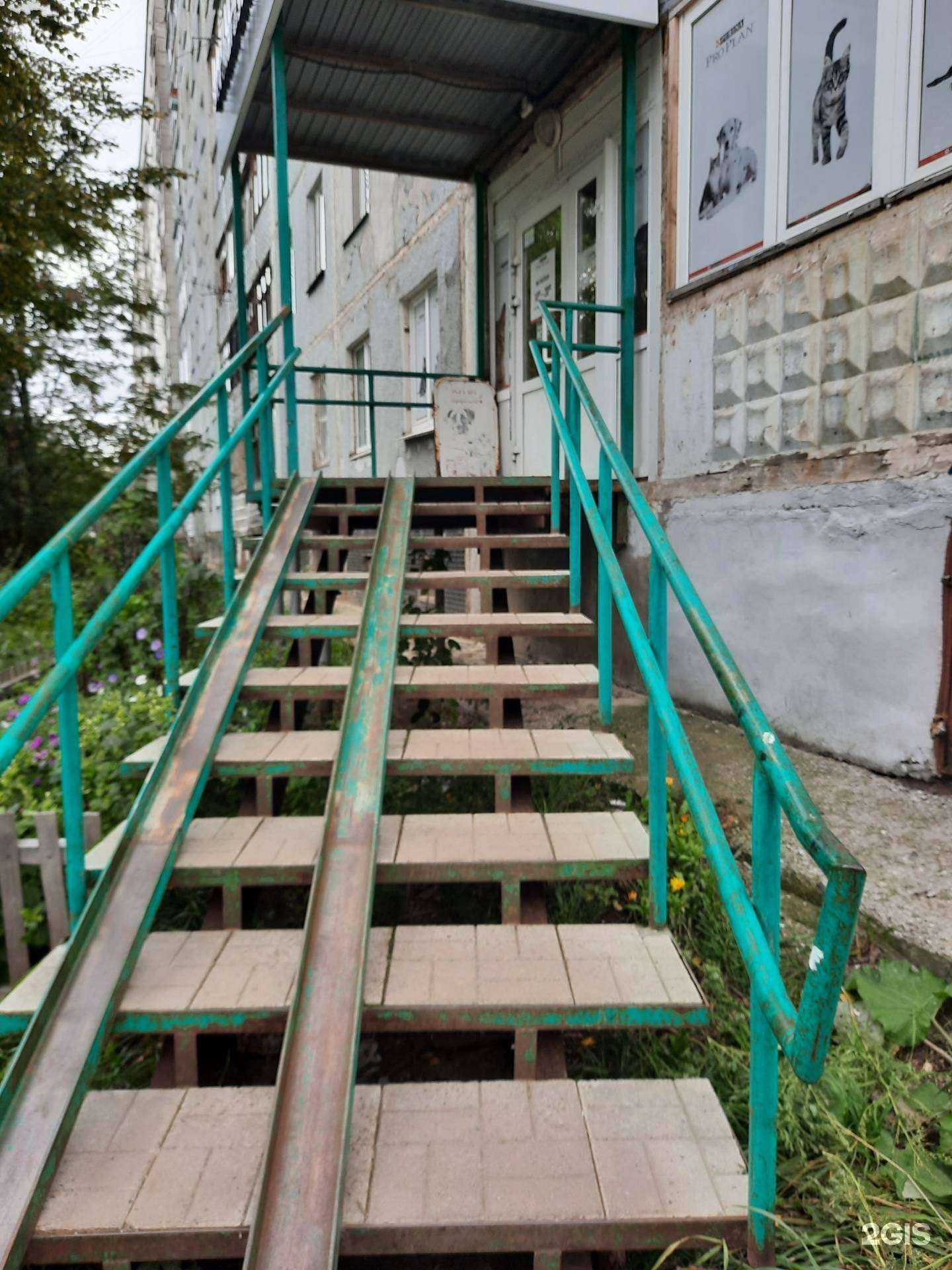 Отзывы на компанию Магазин зоотоваров в Перми c фото