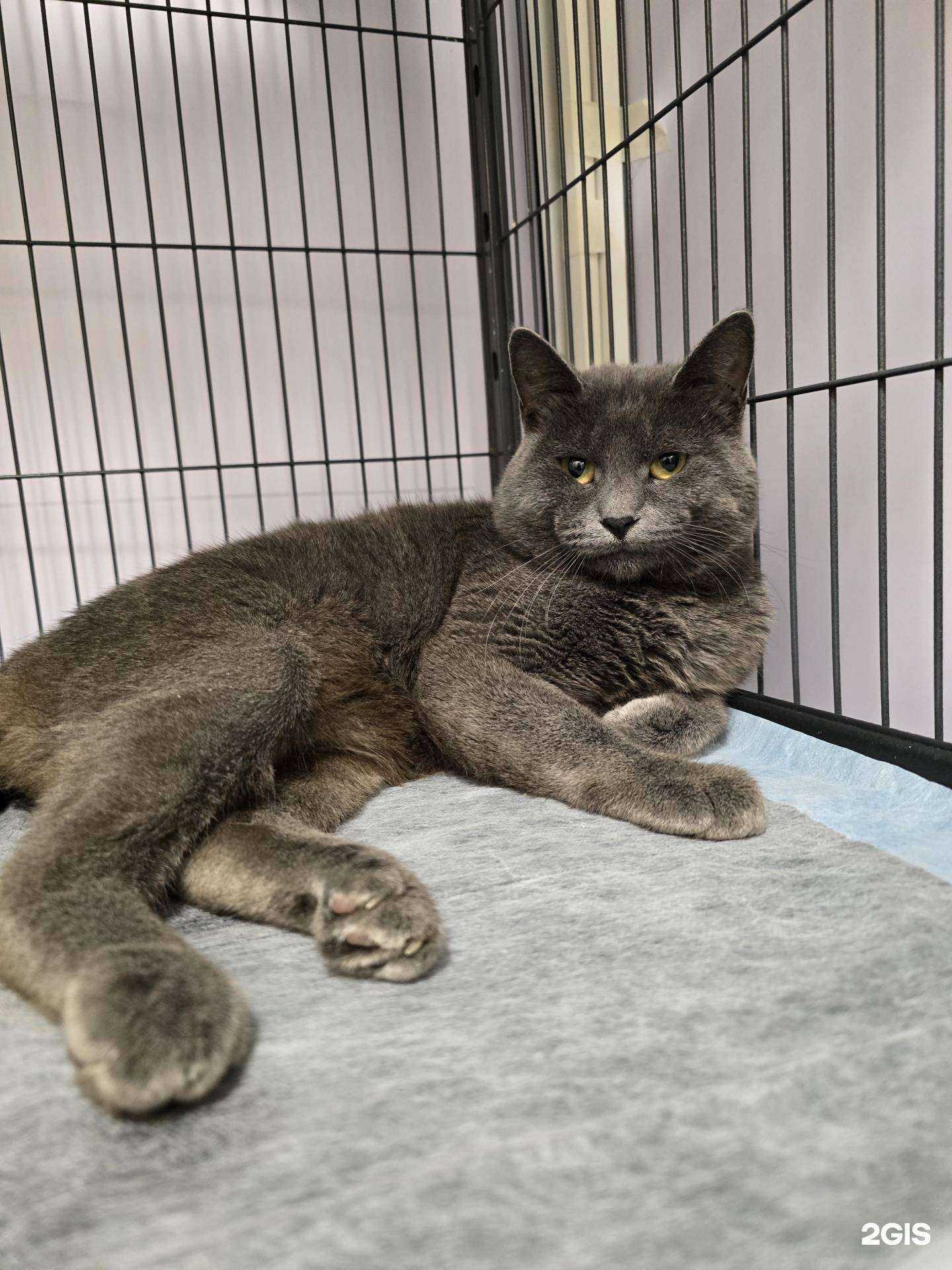 Отзывы на компанию Мурка в г. Владивосток c фото