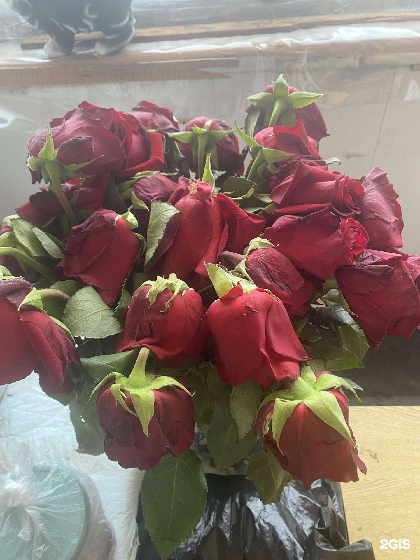 Отзывы на компанию Дольче вита в Нефтеюганске c фото