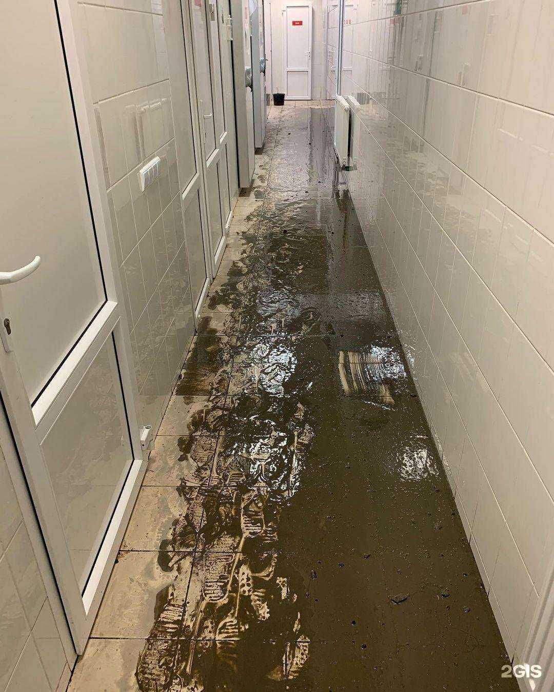 Отзывы на компанию Формула чистоты в г. Калининград c фото