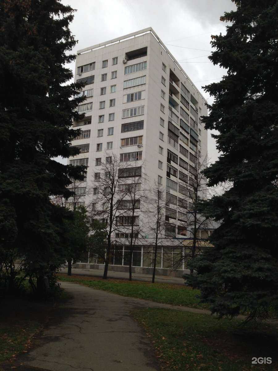 Отзывы на компанию Семена.ру в Челябинске c фото - фотография 2 из 2