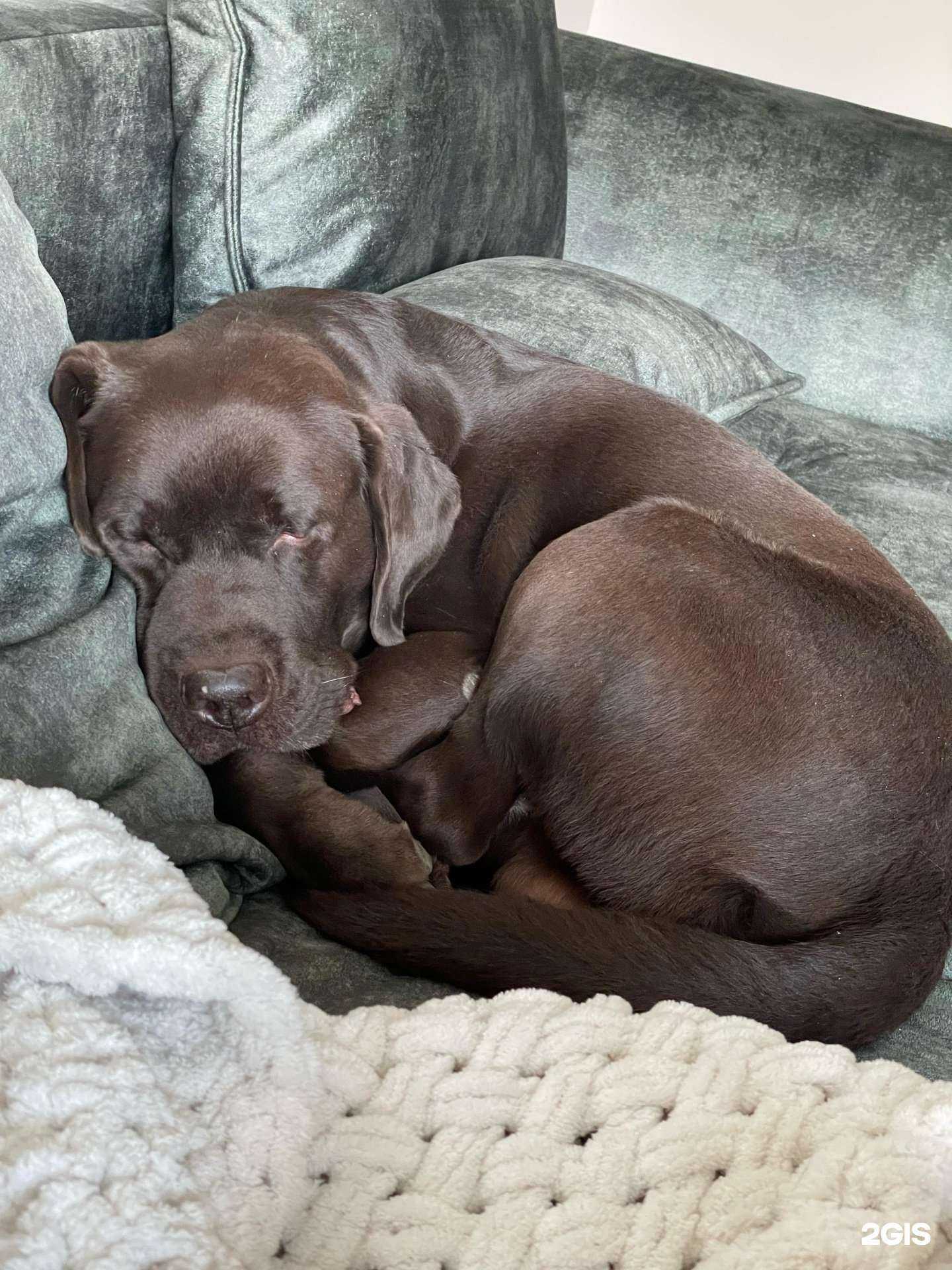 Отзывы на компанию 911 в Казани c фото