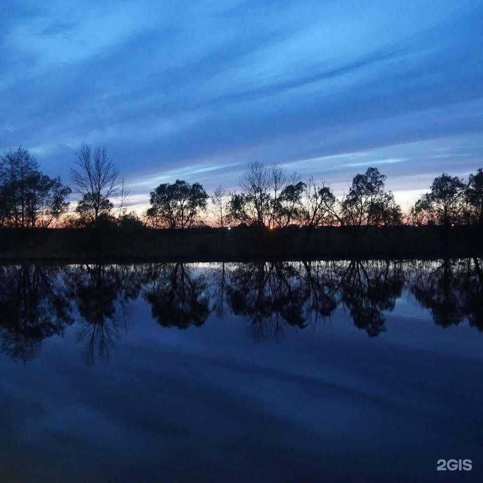 Отзывы на компанию Орто форма в Воронеже c фото