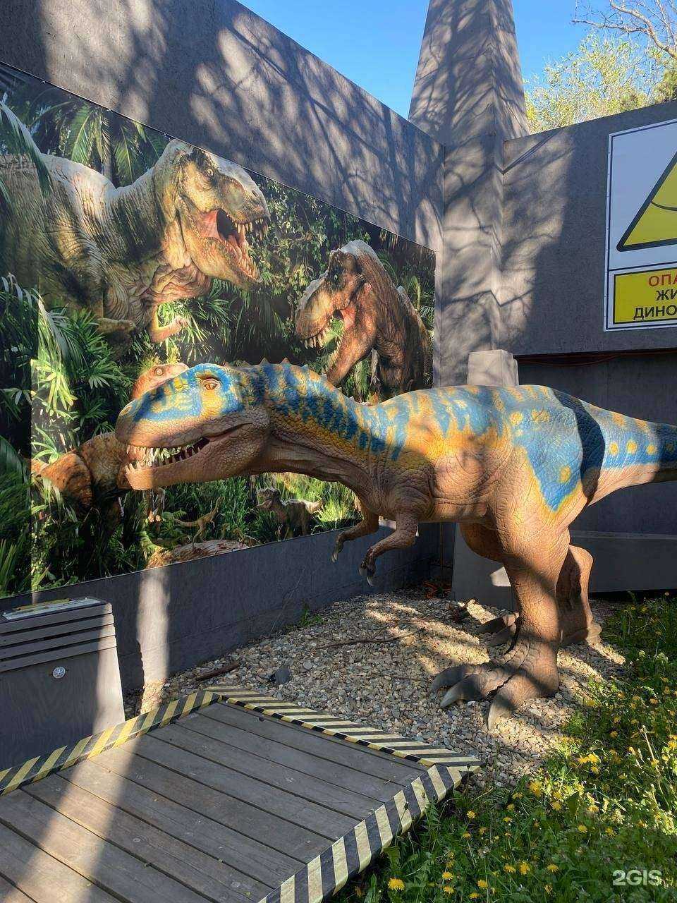 Отзывы на компанию Затерянный мир в Анапе c фото